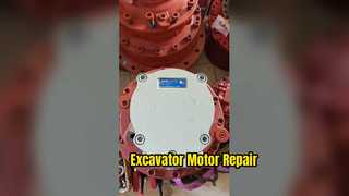 Excavator Rotary Motor Repair Solution